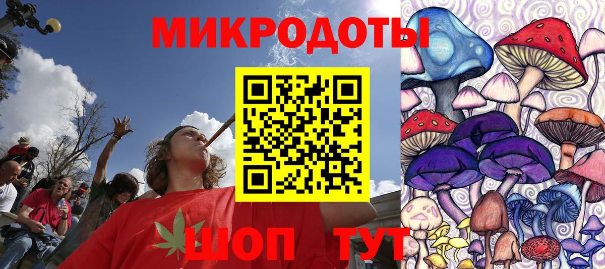 Псилоцибиновые грибы Psilocybe Белая Калитва