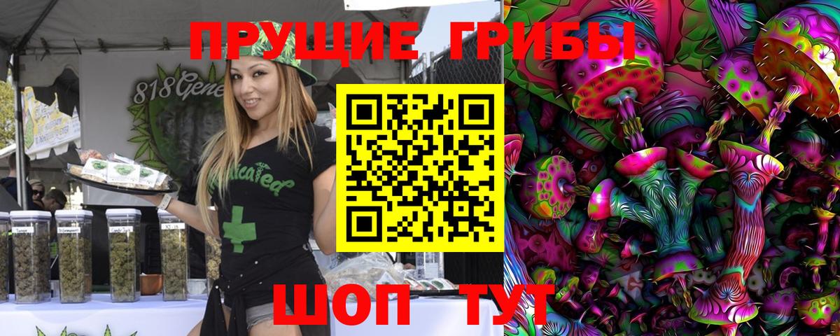 Белая Калитва  закладка  Вход с VPN  Псилоцибиновые грибы Psilocybine cubensis 