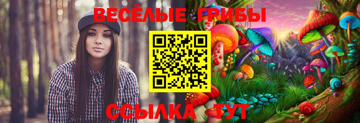 МДМА  Белая Калитва  Бошки Шишки  Вход с VPN  Гашиш  Магазин наркотиков  Меф   NBOMe 
